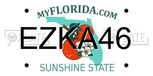 EZKA46 Florida License Plate