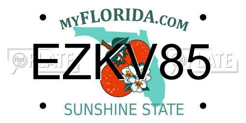 EZKV85 Florida License Plate