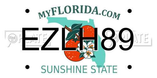 EZLH89 Florida License Plate