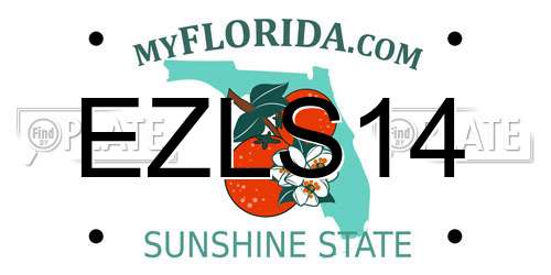 EZLS14 Florida License Plate