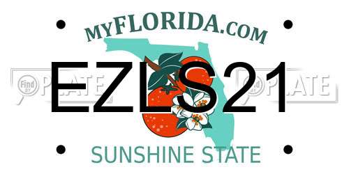 EZLS21 Florida License Plate