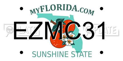 EZMC31 Florida License Plate