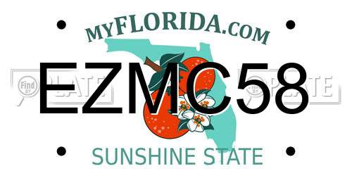 EZMC58 Florida License Plate