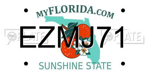 EZMJ71 Florida License Plate