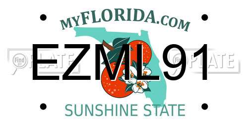 EZML91 Florida License Plate