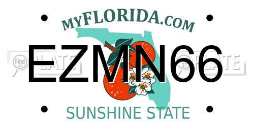 EZMN66 Florida License Plate