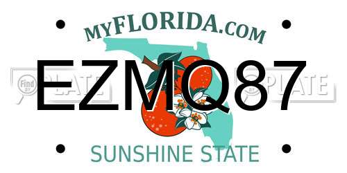 EZMQ87 Florida License Plate
