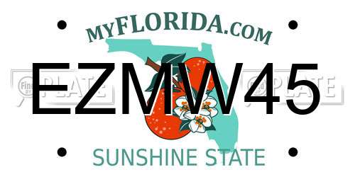 EZMW45 Florida License Plate