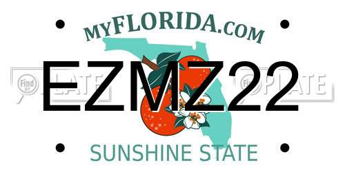 EZMZ22 Florida License Plate