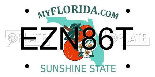 EZN86T Florida License Plate