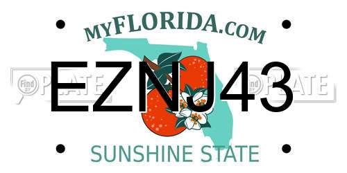 EZNJ43 Florida License Plate