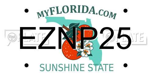 EZNP25 Florida License Plate