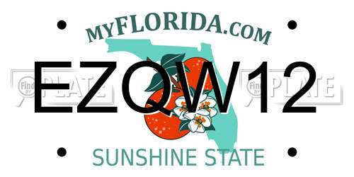 EZQW12 Florida License Plate
