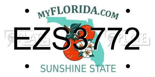 EZS3772 Florida License Plate
