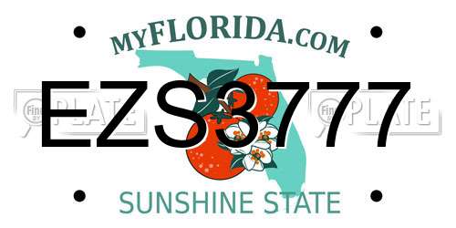 EZS3777 Florida License Plate