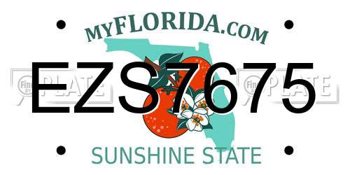 EZS7675 Florida License Plate
