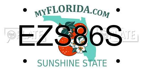 EZS86S Florida License Plate