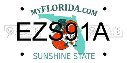 EZS91A Florida License Plate