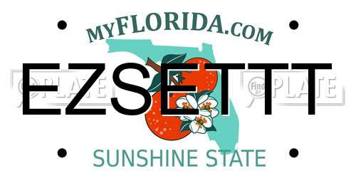EZSETTT Florida License Plate