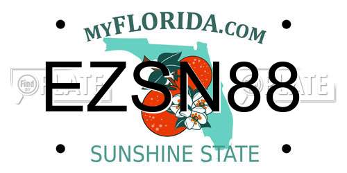 EZSN88 Florida License Plate