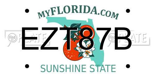 EZT87B Florida License Plate