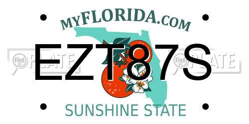 EZT87S Florida License Plate