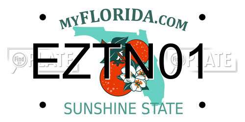 EZTN01 Florida License Plate