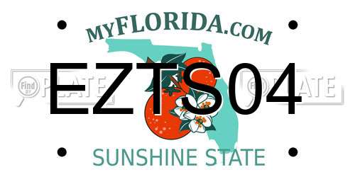 EZTS04 Florida License Plate