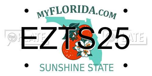 EZTS25 Florida License Plate
