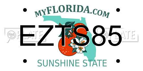 EZTS85 Florida License Plate