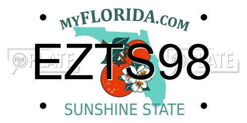 EZTS98 Florida License Plate