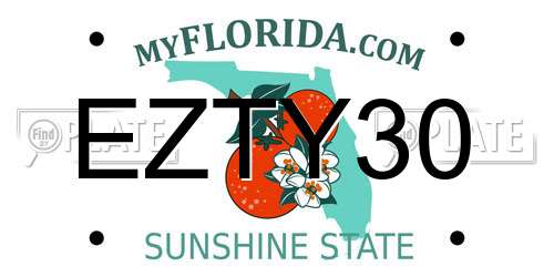 EZTY30 Florida License Plate