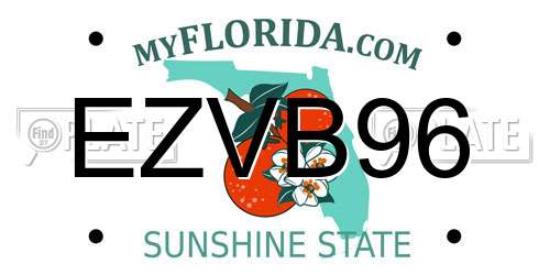 EZVB96 Florida License Plate