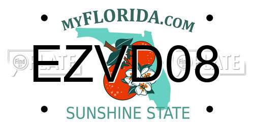 EZVD08 Florida License Plate