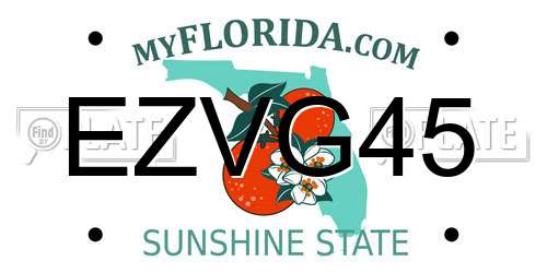 EZVG45 Florida License Plate