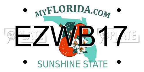 EZWB17 Florida License Plate