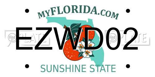 EZWD02 Florida License Plate