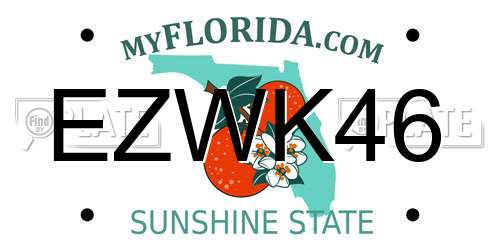 EZWK46 Florida License Plate
