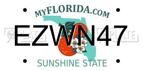 EZWN47 Florida License Plate