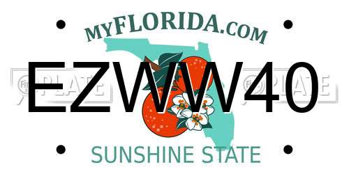 EZWW40 Florida License Plate