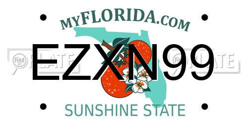 EZXN99 Florida License Plate