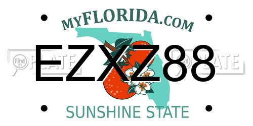 EZXZ88 Florida License Plate
