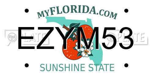 EZYM53 Florida License Plate