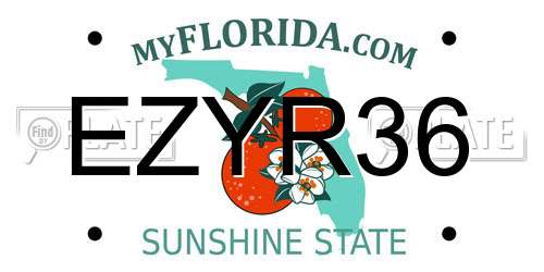 EZYR36 Florida License Plate