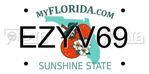 EZYV69 Florida License Plate