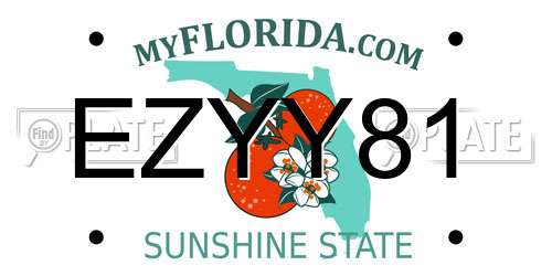 EZYY81 Florida License Plate