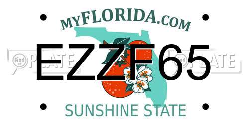 EZZF65 Florida License Plate