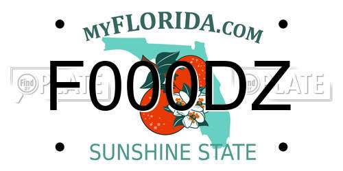 F000DZ Florida License Plate