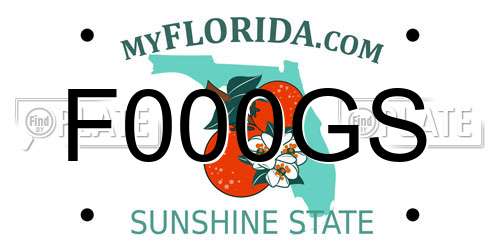 F000GS Florida License Plate