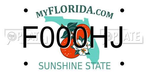 F000HJ Florida License Plate